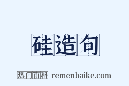 硅造句是什么意思的图片